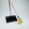 broom and dust.jpg